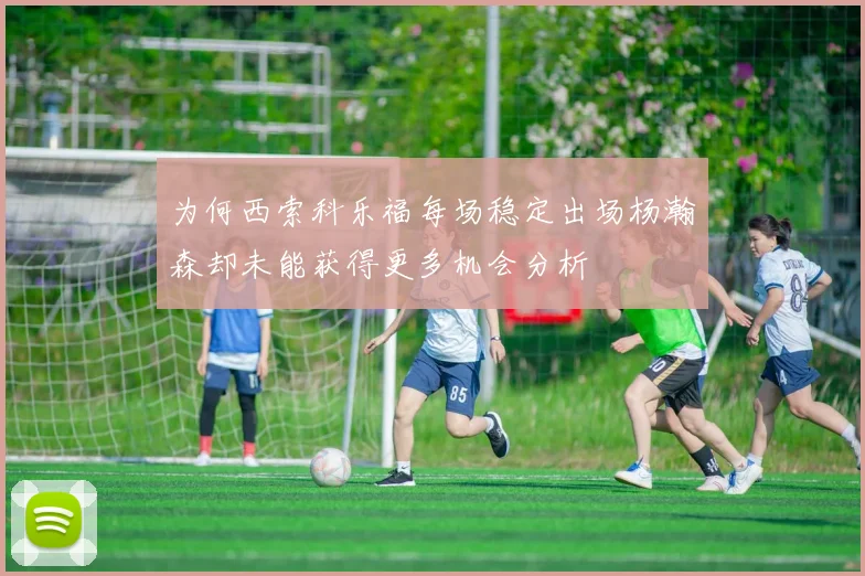 为何西索科乐福每场稳定出场杨瀚森却未能获得更多机会分析