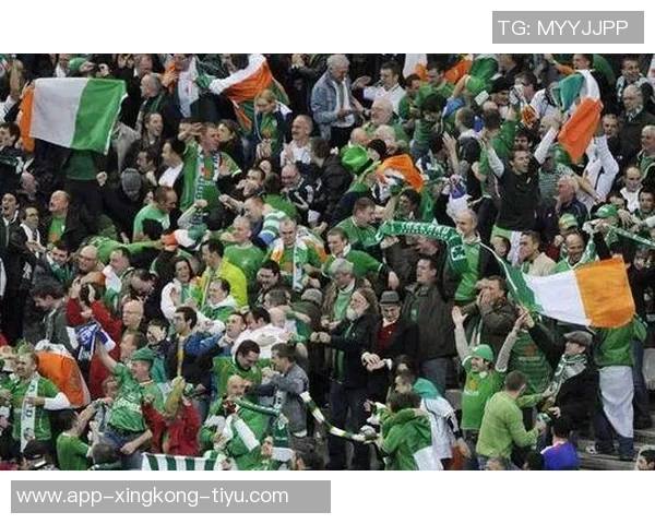 埃文弗格森成爱尔兰球员第三人为意大利俱乐部欧战进球