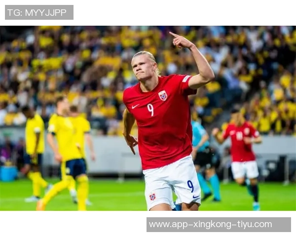 意大利前锋身价合计179亿欧逊哈兰德100万青黄不接现象显著 意大利前锋身价合计179亿欧逊哈兰德100万青黄不接现象显著